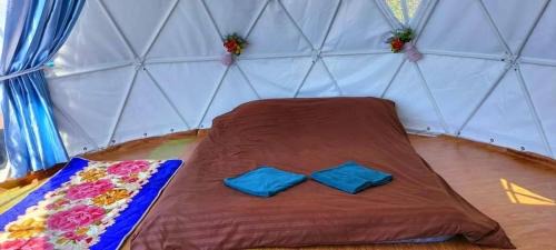 Mae Rim Other | ฮิมดอย แคมป์ปิ้ง