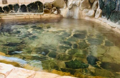 Tsubaki Onsen Hotel | おんせん民宿望海