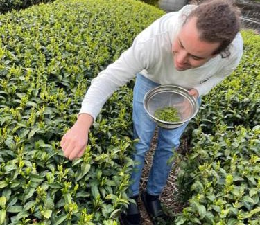 Shimada House | 一棟貸し農家民宿ひなた