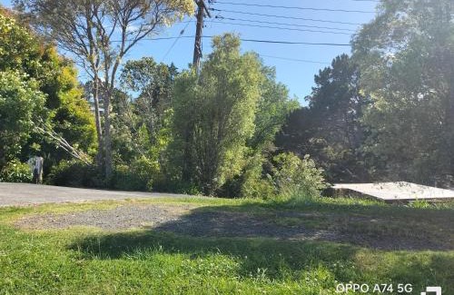 Fairview Heights House | 别墅中的一间客房