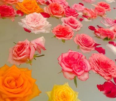 Oyabe Villa | 和美再美 石動 柏屋 Wabisabi Isurugi Kashiwaya