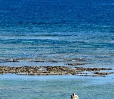 Taketomi-jima Taketomi-cho Villa | 定員8名様 お子様2名様まで添い寝無料 海辺の新築ヴィラ Wight Turtle Villa