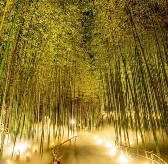 Arashiyama Apartment | 嵐山 天龍の宿 駐車無料 一棟貸切 最大5人 Dragon Legend Arashiyama Central Private Rare Modern House Free Parking Max 5ppl