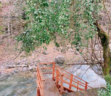 Hanno House | 川辺-KAWABE-BBQ-川遊び-fishing