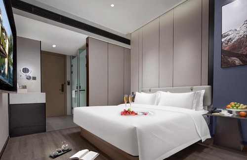 Jinniu Hotel | 悦蓝里s酒店成都春熙路宽窄巷子店