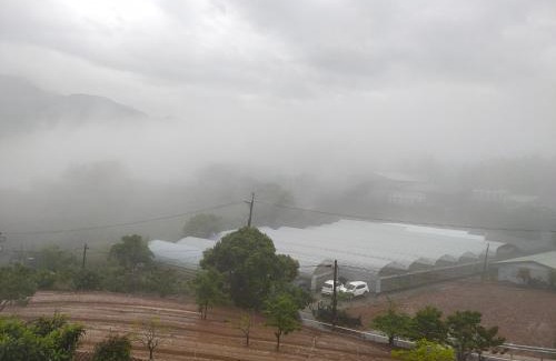 Ren'ai House | 清境依山舞林民宿