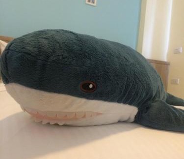 Luodong Bed & Breakfast | 羅東旅行家民宿