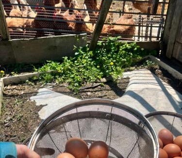 Kanazawa House | 農家民宿ととのや