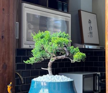 Jinning Bed & Breakfast | 金門悠哉悠古厝民宿 Yozaiyo39 B&B