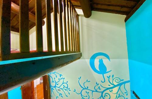 Jinhu House | 金門玉宿古厝小包棟民宿