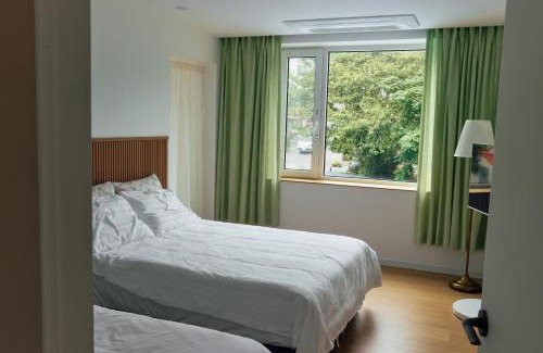 Songsan-dong Bed & Breakfast | 사이서가