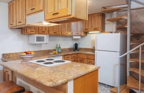 Snowmass Village Apartment | 0 Bdrm Aspen Studio with Loft and 2 full bath