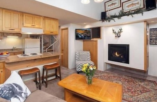 Snowmass Village Apartment | 0 Bdrm Aspen Studio with Loft and 2 full bath