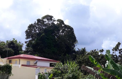 Les Abymes House | 1 à 3 chambres proche aéroport