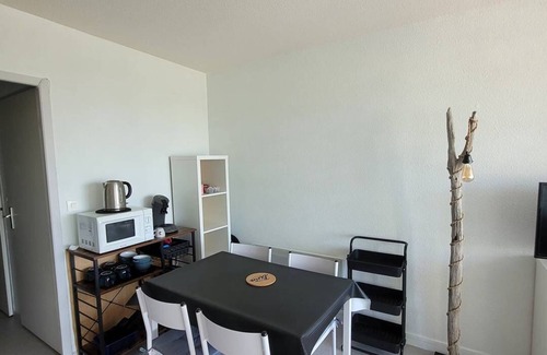 Mimizan-Plage Apartment | 1* apartment for 2 to 4 people with breathtaking views of the ocean at Mimizan Plage