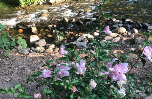 Swiftwater House | #1 AREA IN POCONOS “CAMELBACK” AND “KALAHARI”