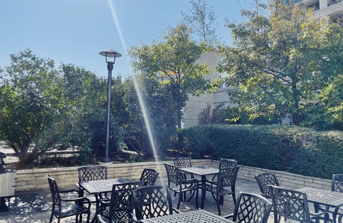 Etobicoke Apartment | 1 BDRM w pool. Perfect location. Free parking
