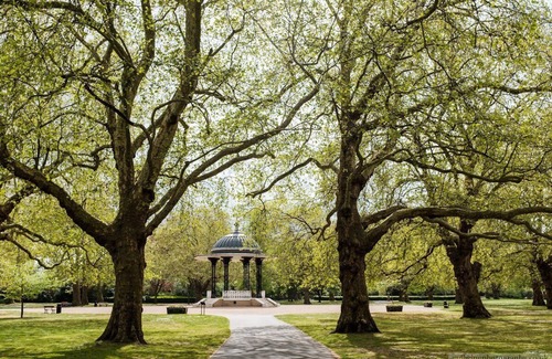 South Bermondsey Apartment | 1 bed garden flat (with 2 beds) for 2025 summer/autumn bookings in London