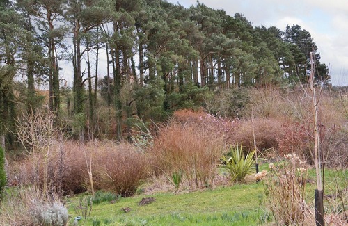 Berwick-upon-Tweed Cottage | 1 bedroom accommodation in Lowick, near Berwick-on-Tweed