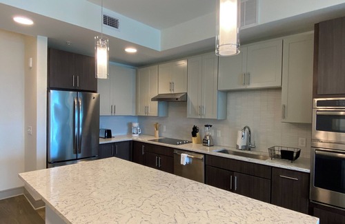 Southgate Apartment | 1-bedroom apartment in enjoyable Houston with close proximity to MD Anderson