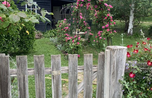 Drummond North Cottage | 1 bedroom cottage