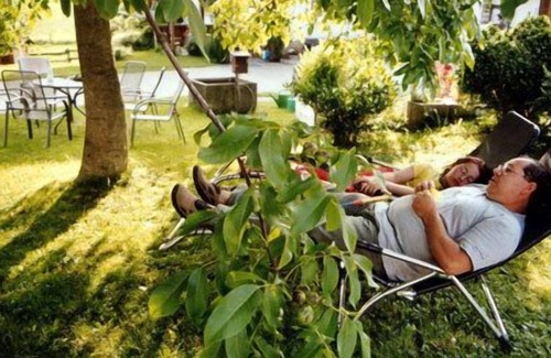 Bodnegg Apartment | 1-room apartment (apple and pear), 30 sqm, living/bedroom, max. 3 persons