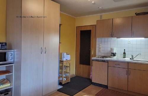 Marienberg Apartment | 1-room apartment with balcony on the 1st floor, combined living room and bedroom