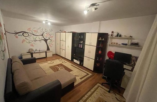 Orastie Apartment | 1 Room with 1 cozy bed, 1 bathroom and kitchen