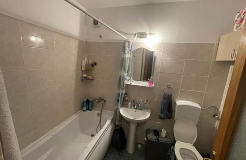 Orastie Apartment | 1 Room with 1 cozy bed, 1 bathroom and kitchen