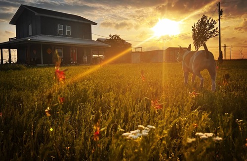 Nemo House | 10 acres with NO CLEANING FEES and fresh chicken eggs with your stay!