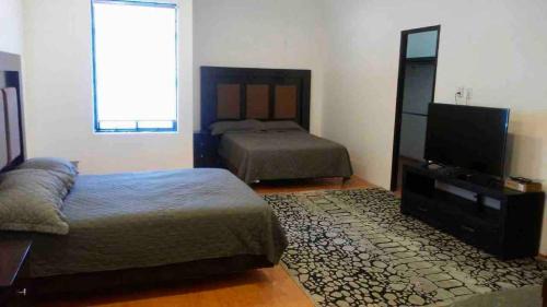 Torreon Apartment | 10- Large suite for 4 people