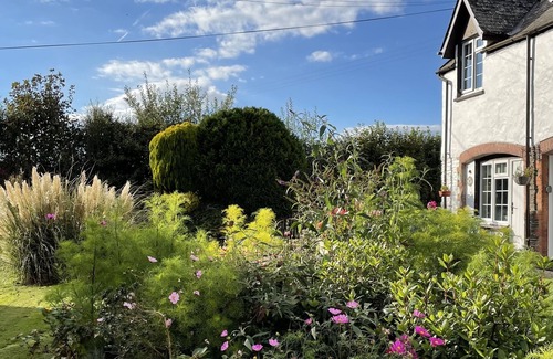 Ilfracombe Cottage | 10 mins drive to beaches and harbour.Idyllic location.Pub nearby. Dog friendly