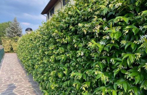 Zanica Apartment | 10 minutes to flight Orio al Serio BGY