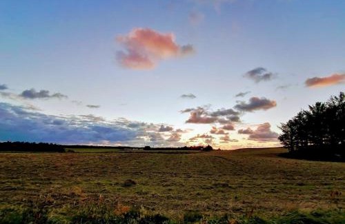 Grønhøj House | 10 person holiday home in Løkken-By Traum
