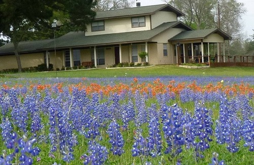 Bellville House | 100-acre ranch with beautiful creek, ponds, woods, livestock