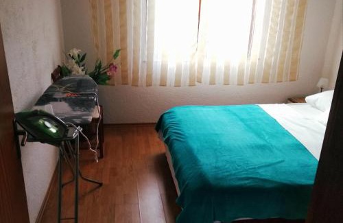 Cesarica Apartment | 11 Primorska ulica