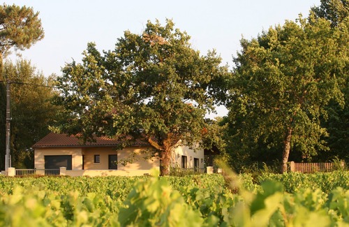 Pessac House | 120m2 detached house with PRM access facing the Pape Clément vineyards