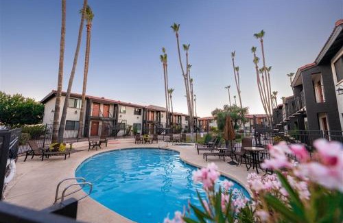 South Scottsdale Apartment | 145 Fully Furnished 1BR Suite-Pet Friendly