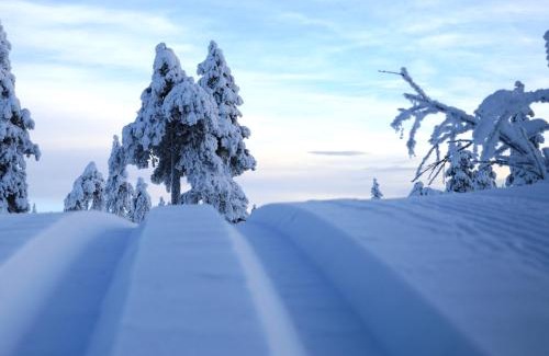 Ljordal Apartment | 16 - Fulufjellets nasjonalparker - snø - alpint - langrenn - snøscooter