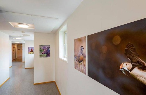 Kabelvag Hostel | 18 m² Hostel ∙ 2 guests