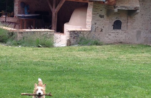 Arjuzanx House | 18th century barn, exceptional site, swimming pool, 35mn from the Ocean