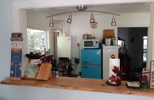 Catskill Cottage | 1930's 1 bedroom cottage updatedn with charm, pet friendly, near hiking trails