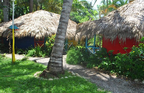ProCab Apartment | 1BD condo in lush tropical settings, near shops/beach/restaurants