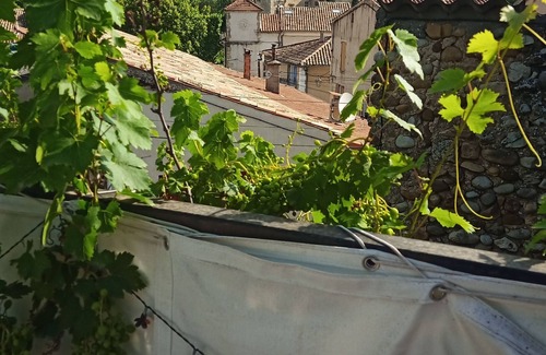 Allemagne-en-Provence House | 1st floor of village house with garden and terrace