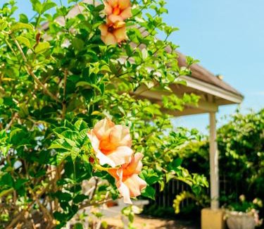 Constant Spring Apartment | 2,3 or 4 Bd townhouse overlooking Kingston