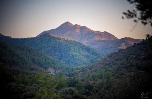 Gourri House | *2 bdr log house/mountains/Queen bed/fireplace