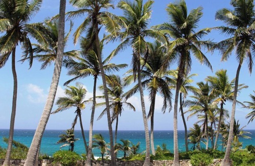 Stella Maris Cottage | 2 Bed, 2 Bath Cottage located in Stella Maris center, access to resort amenities