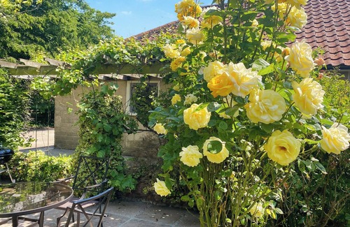 Diss Cottage | 2 bedroom accommodation in Fressingfield