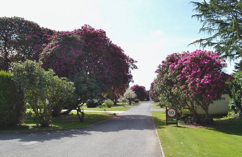 Liskeard Cottage | 2 bedroom accommodation in Liskeard
