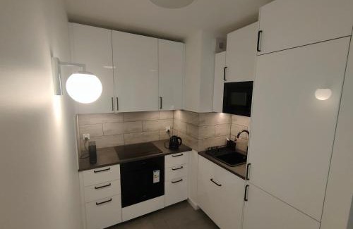 Grzegorzki House | 2-Bedroom Apartment with 2 Free Parking Spots - TAURON ARENA